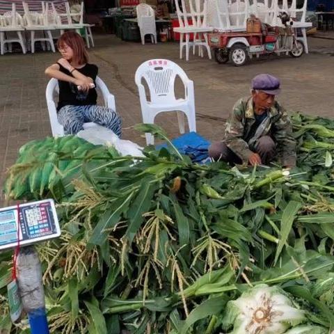 府谷县最新房源出售，优质投资与居住选择
