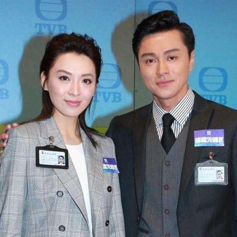 法证先锋4最新动态，揭秘剧情走向与演员阵容更新