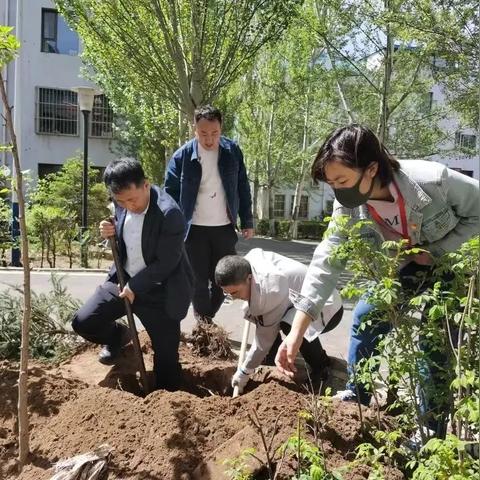 全民赢三张最新版游戏，新体验与数据分析揭秘