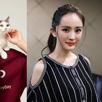 李易峰杨幂再度合作揭秘，最新电视剧数据大放送！