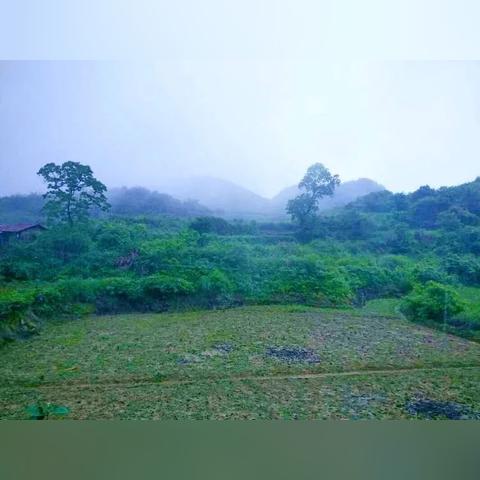 酉沿高速公路最新动态，最新消息汇总