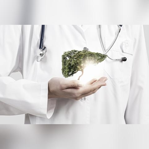 纸碗机 第45页