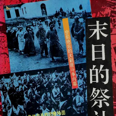 末日余晖，深度解析2025最新丧尸电影