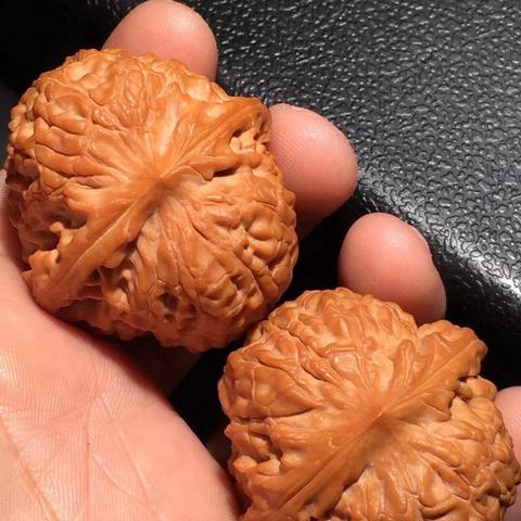 最新文玩品种揭秘，热门新宠探索