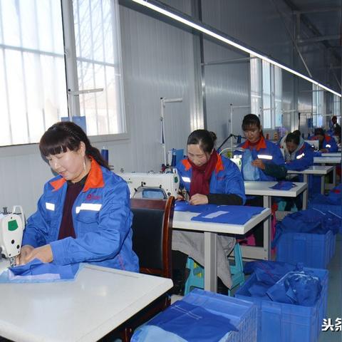 最新致富项目，探索办厂新模式，财富之路启程