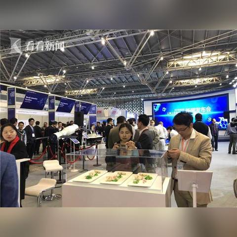 智慧树最新进展报告，迈向未来，展望智慧生态发展