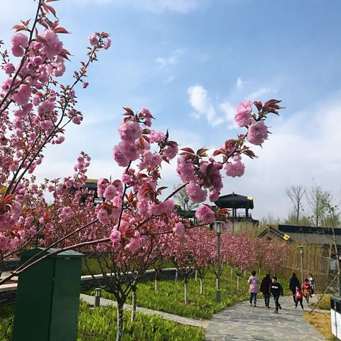 企业文化 第11页