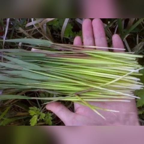 纸碗机 第9页