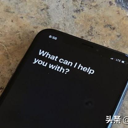 食盐改革最新暂停，深度分析与影响评估