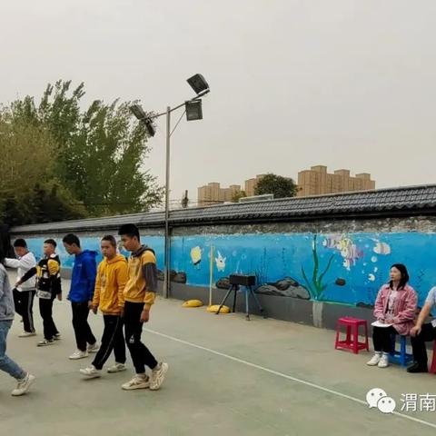 最新式渭南滚筒，技术革新典范，产业升级引领者