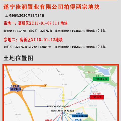遂宁最新拍卖信息解析，最新成交速递