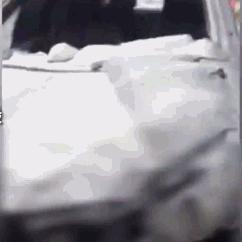 乐山车祸真相深度探究，事故背后故事揭秘