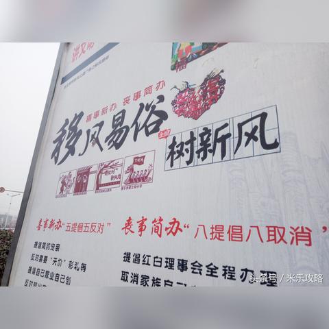 最新型花卉，科技与自然融合之美